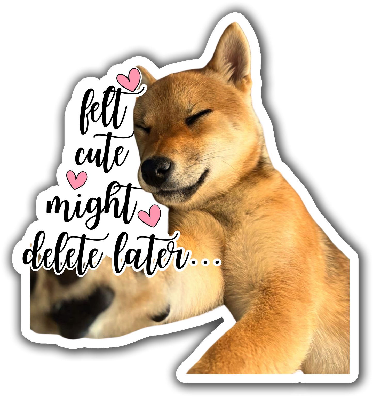 Sticker: Felt Cute Might Delete Later