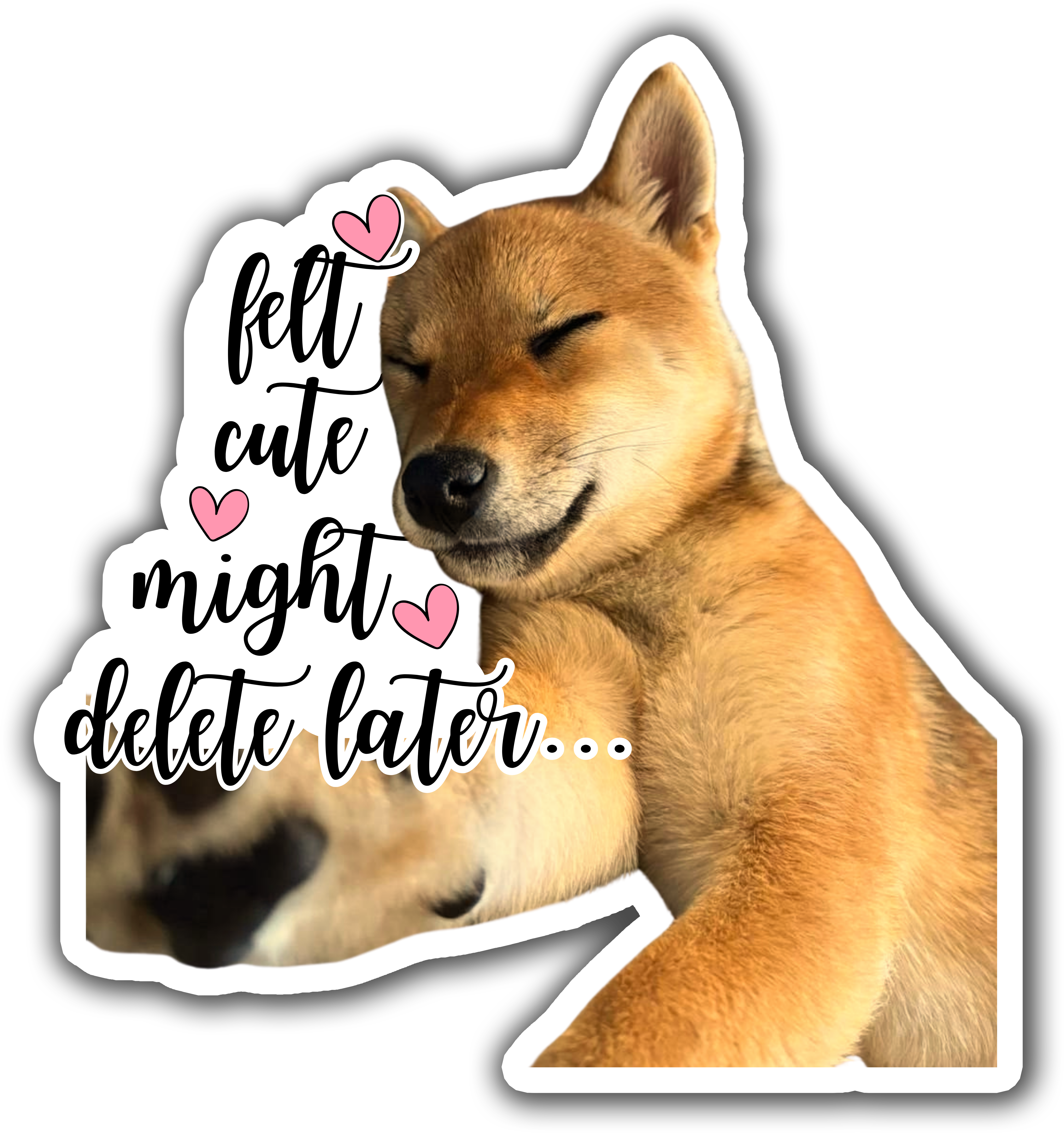 Sticker: Felt Cute Might Delete Later